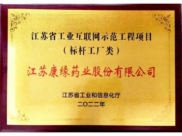江苏省工业互联网示范工程项目“标杆工厂类”